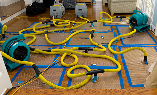Professional Crawl Space Water Removal technician working in Layland, WV