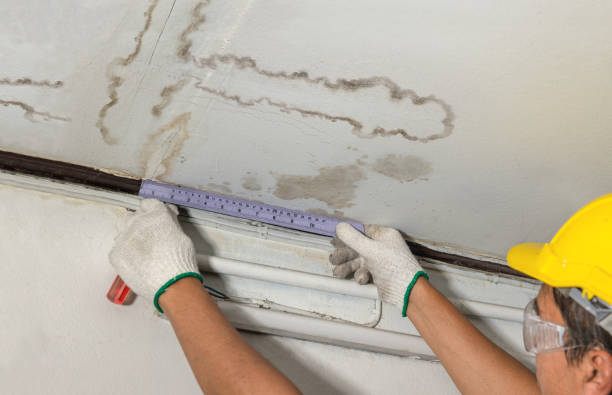 Affordable Water Damage Repair solutions in Layland, WV